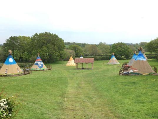 Big Sky Tipi Holidays Wartling Exteriör bild